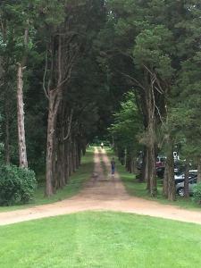 photo 1008629235895799